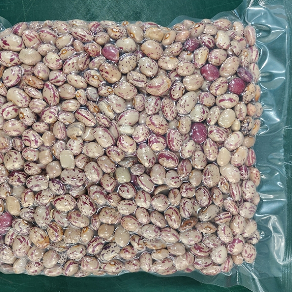 [오커최고] 어흥 호랑이콩 건조 호랑이콩 500g 1kg