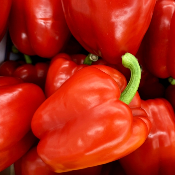 [농협] 한아름드린 신선 파프리카(빨강) 2kg/4kg(상/가정용)