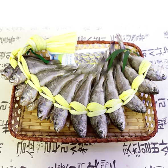 영광굴비 법성포 국보 굴비 세트 대10호 20미 1.9kg