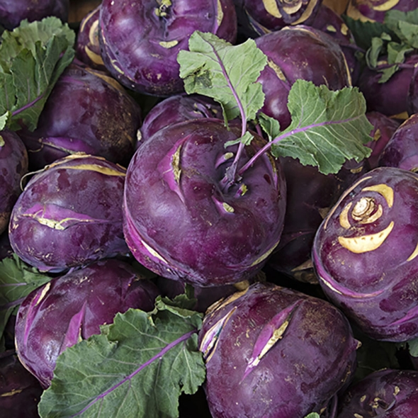 [신한카드 할인][흙이음] 국산 콜라비 혼합과 5kg