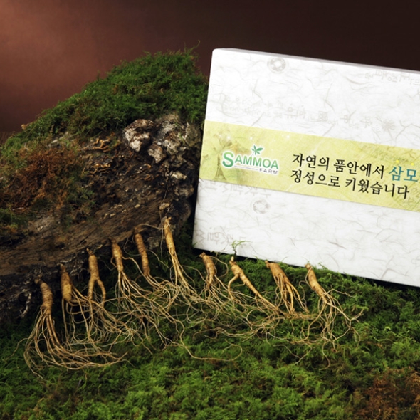 [삼모아] 실속 산양산삼 5-6년근 10뿌리(가족세트) / 우드락+공단보자기