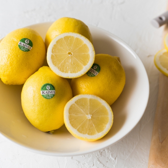 [만원의 행복] 레몬 에이드 청~ 상큼한 과즙 가득 미국산 레몬 중과/대과 10개입 20개입 30개입