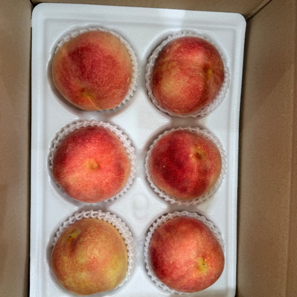 국내산 산지직송 과즙가득 겨울복숭아(설아,설도,설리)