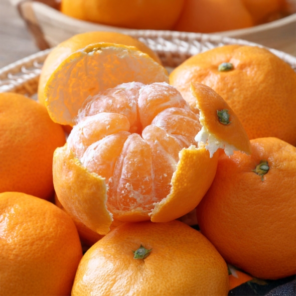 제주직송 실속형 새콤달콤 노지감귤 2.5kg/4.5kg