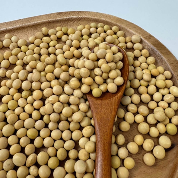  [보름데이] [강화섬 백태콩]국내산  백태콩  (200g/500g/1kg/3kg/4kg)