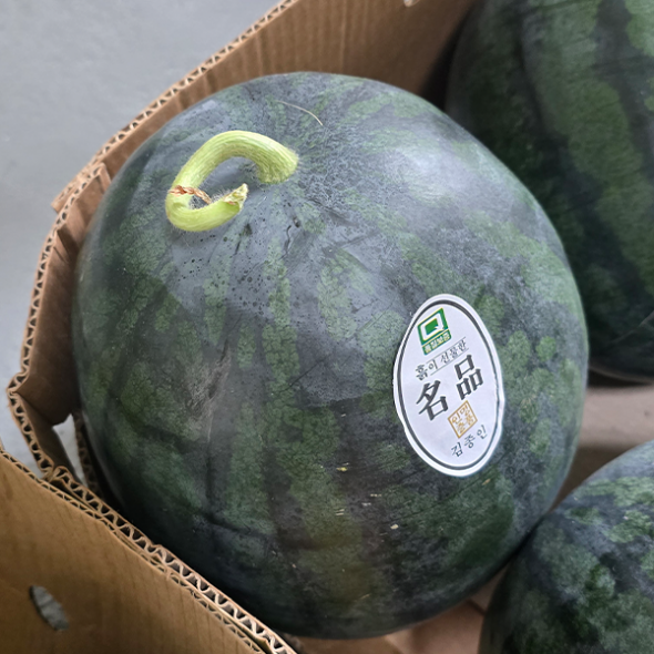 고당도 국내산 흑수박