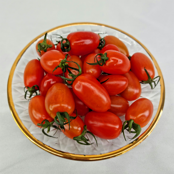 [만원의 행복] 샤인달콤 스테비아 방울토마토