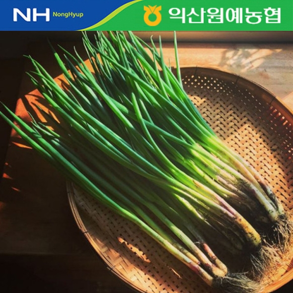 [농협] 한아름드린 신선 흙쪽파 2kg/4kg(특)