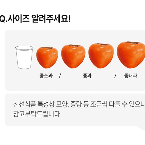 [만원의 행복] 제철을 맞은 햇  대봉감(푸)