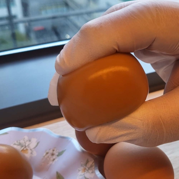 [만원의 행복] [대란] 48시간  최적의 온도에서  구운  구운계란  대란(30구/60구/90구)