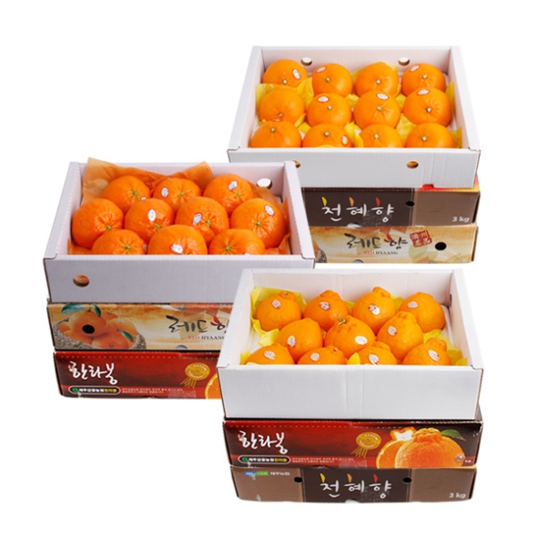 [명절특선] [농협공판장] 정성드린 제주 만감(한라봉/천혜향/레드향) 상품전(9품목)