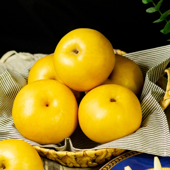 [명절브팜] 한상 나주배 선물세트 7.5kg