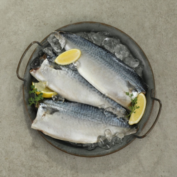 [제주특선] 순살 고등어 500g이상(4-5쪽) 1팩/2팩