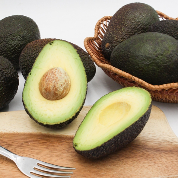[오커캄스] 천연 버터 아보카도 수입 아보카도