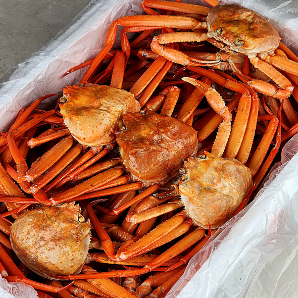 [제철!] 산지직송 구룡포 연지홍게  홍게제철  실속 가성비 3kg (10-12미)