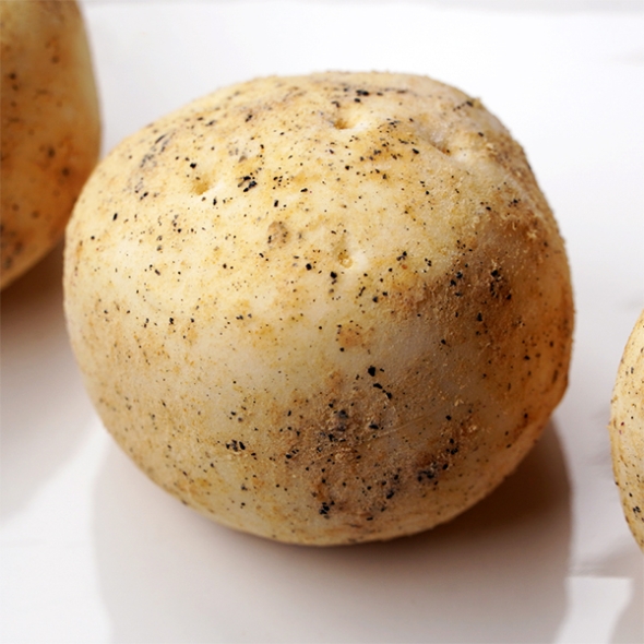 [단짠예찬] 포슬촉촉 감자빵 600gx2팩/3팩/5팩 (팩당120gx5개입)