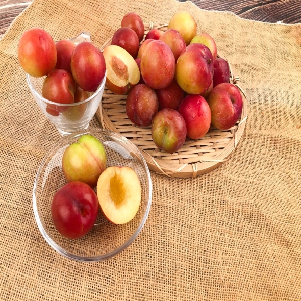 [산지직송] 새콤하고 달콤한 국내산 하우스 자두(300g/500g/1kg/1.5kg)