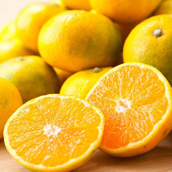 [신한카드 할인] [흙이음] 제주 노지 감귤 4.5kg