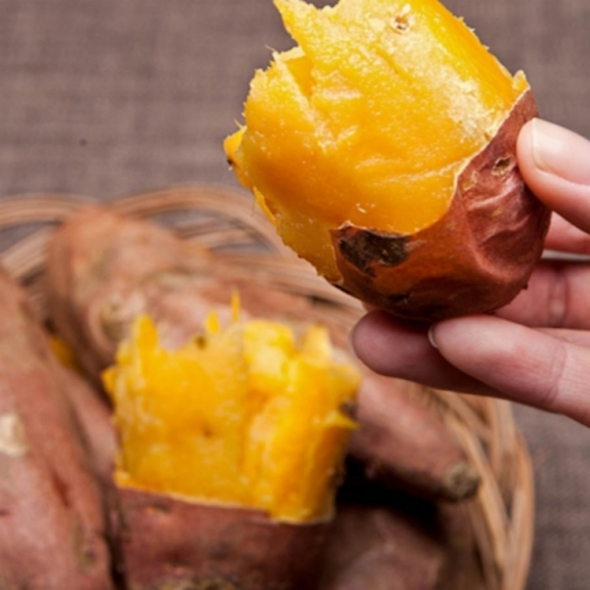 베니하루카 꿀고구마 세척 고구마 3kg 5kg 10kg