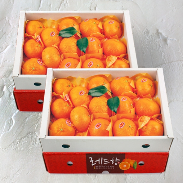 [제주향기] 탐나는 레드향 3kg(10-12과내)  1박스/2박스