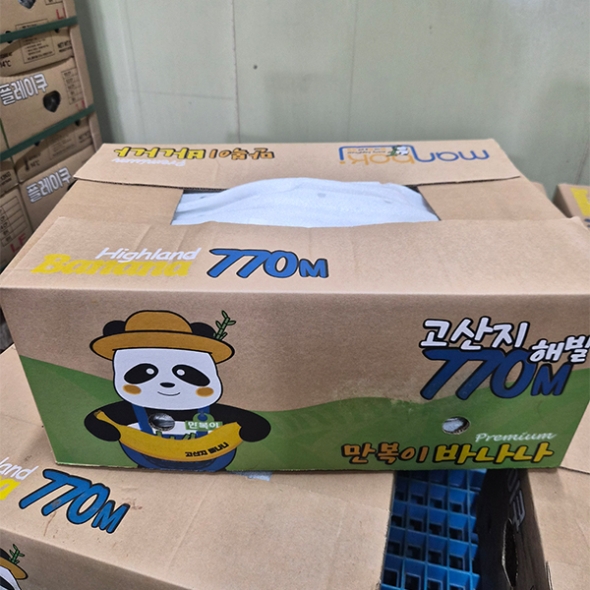 고당도 바나나(최)