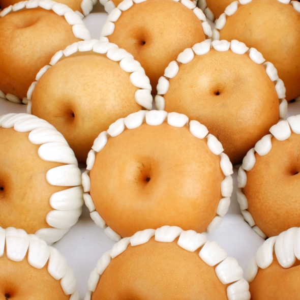 [농협공판장] 정성드린 신고배 15kg(31-40과내)