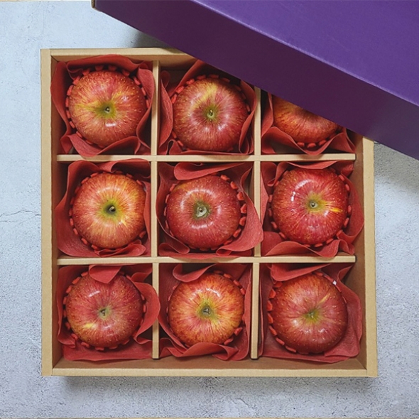 [선물세트] 있지 명품 사과세트(마)