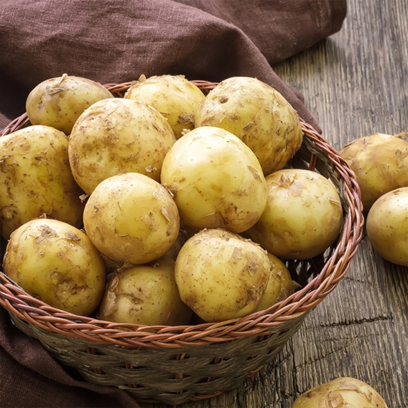 [만원의 행복] 감자 포슬포슬 국산 감자 수미감자 햇감자