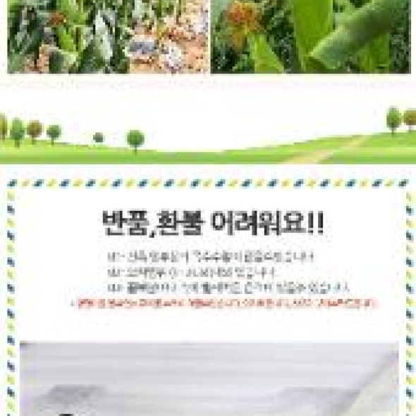 찰지고 맛있는 미백 찰옥수수_옵션선택 (15개입/17cm내외) 30개입/17cm내외)