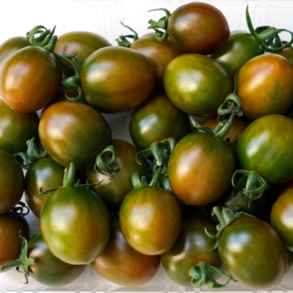 [GAP인증] 흑대추 방울토마토 [1kg-5kg]