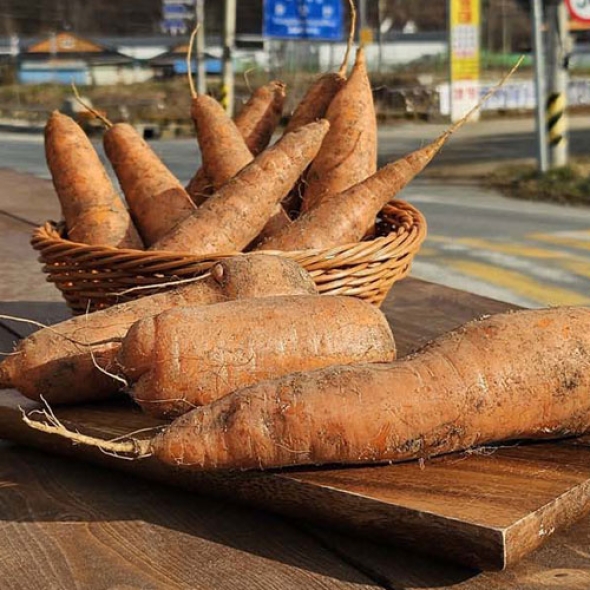 [신한카드 할인][흙이음] 제주 구좌 흙당근 특 2kg/ 3kg / 5kg / 10kg