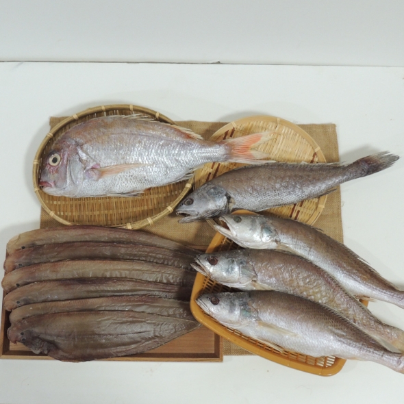 삼천포 용궁수산시장 반건조 생선 제수용SET2(돔1+서대6+민어1+민어조기3)