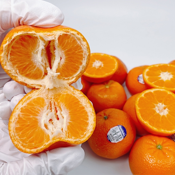 [오커최고] 수입 만다린 1kg 2kg