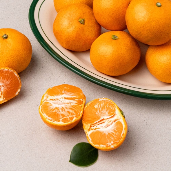 [심심상인] 11brix선별 프리미엄 타이벡 감귤 로얄과 3kg/5kg