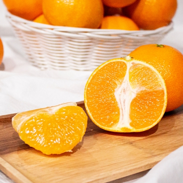 [명절브팜] 제주 황금향 2kg 3kg 5kg 선물세트