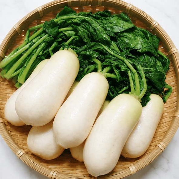 절임 알타리무(최)
