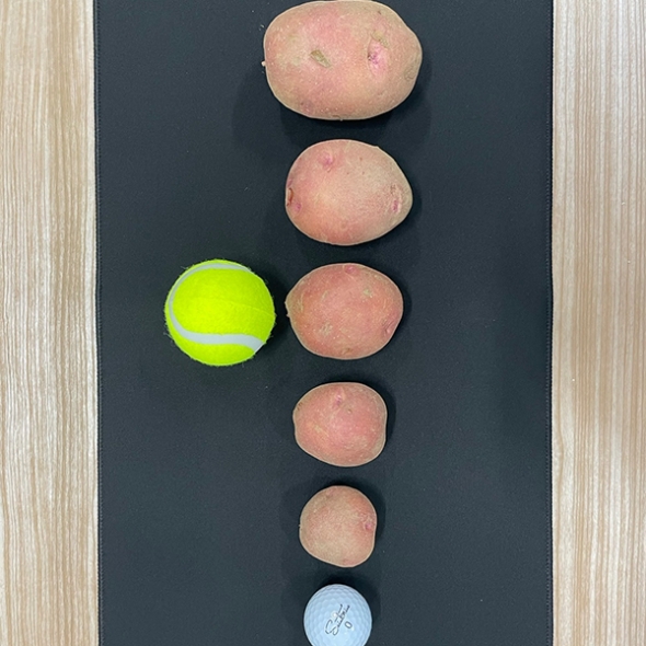 [신한카드 할인] 땅속에 사과 국내산 홍감자