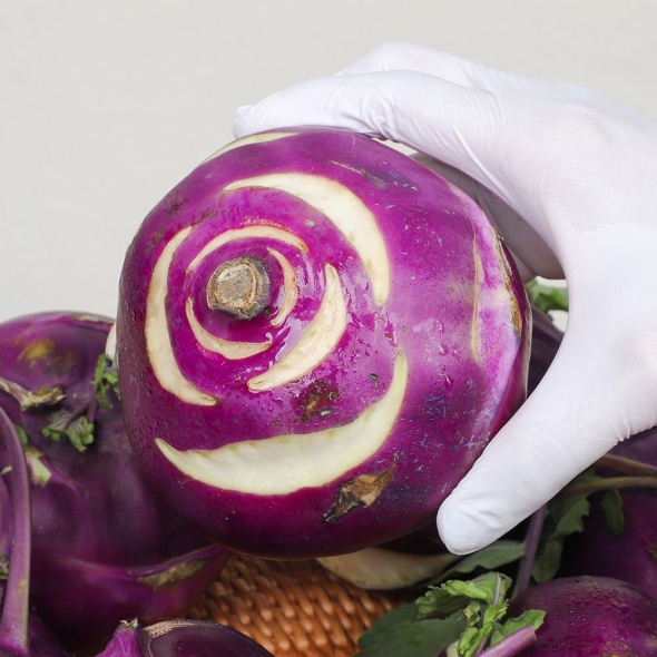 [심심상인] 산지직송 제주 콜라비 2/3/5kg