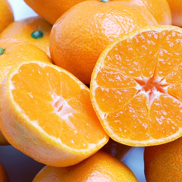 [보름데이] [푸토리] 행복한농부 감귤 5kg / 소과 / 대과 / 로얄과