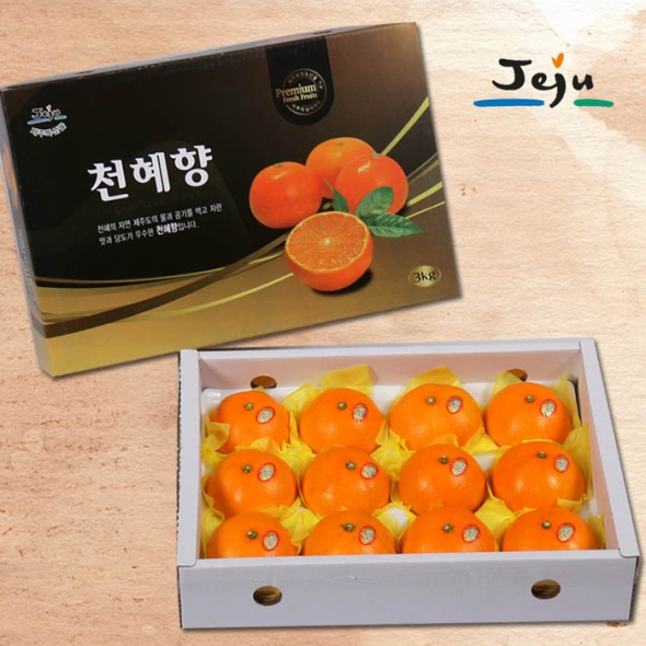 [푸토리] 정성담은 제주마을 천혜향 세트 3kg / 5kg