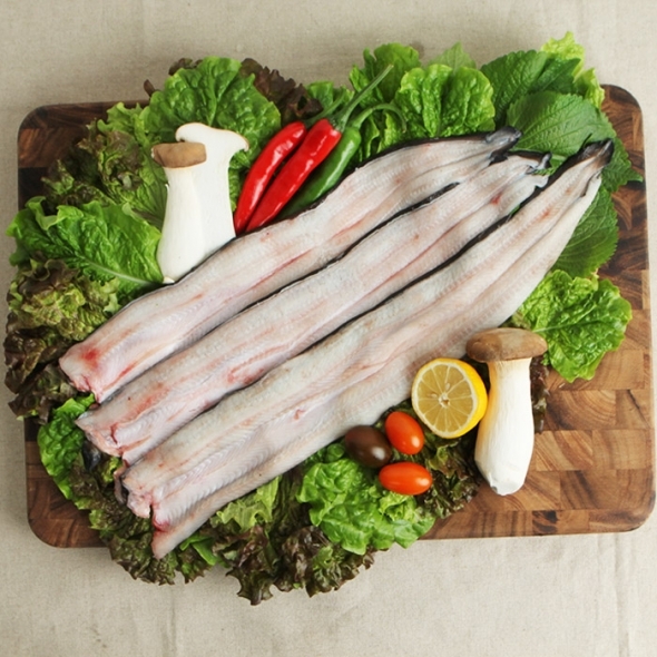 [보름데이] 풍천장어 100% 품질보증 기운센 불끈불끈 전북 고창 민물장어 1KG (손질전)