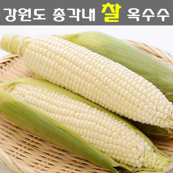 [산지직송] 강원도 미백찰 옥수수 [특/10개-30개]