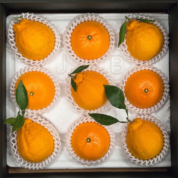 저탄소 프리미엄  혼합과일  선물세트(푸)