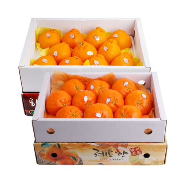 [농협공판장] 당도선별 정성드린 제주만감 2종묶음세트(한라봉+레드향 각3kg 10과내)