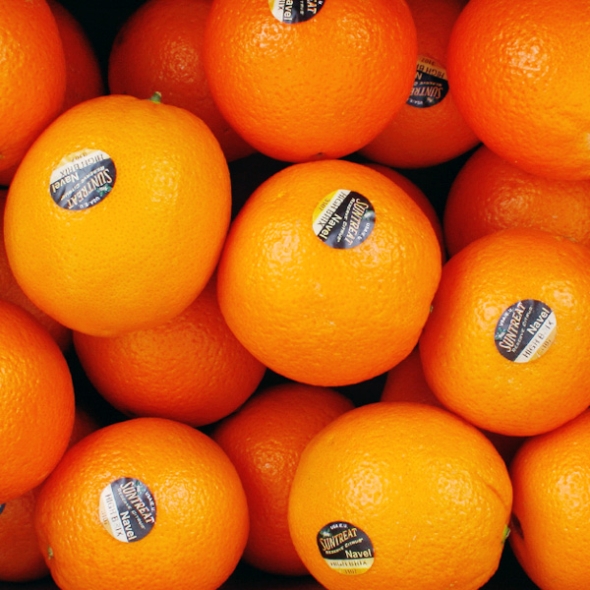 [농협공판장] 정성드린 블랙라벨 오렌지 중소과 3kg/5kg