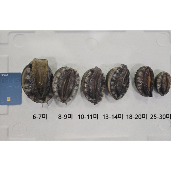 [보름데이] 자연이 선사하는 풍부한 영양  완도산 활 전복