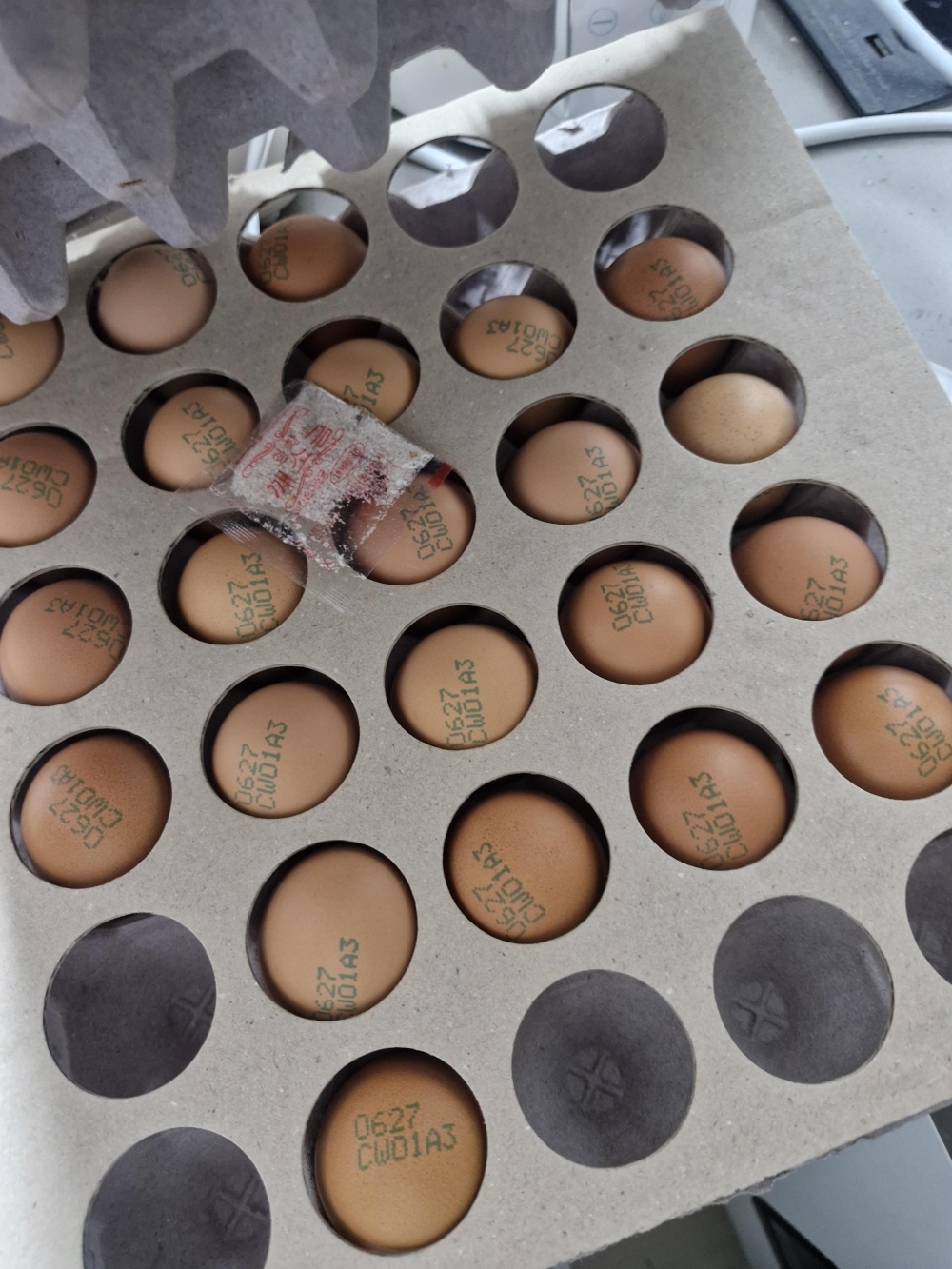 심심상인 국내산 HACCP 구운계란 훈제란 중란 대란 30구/60구
