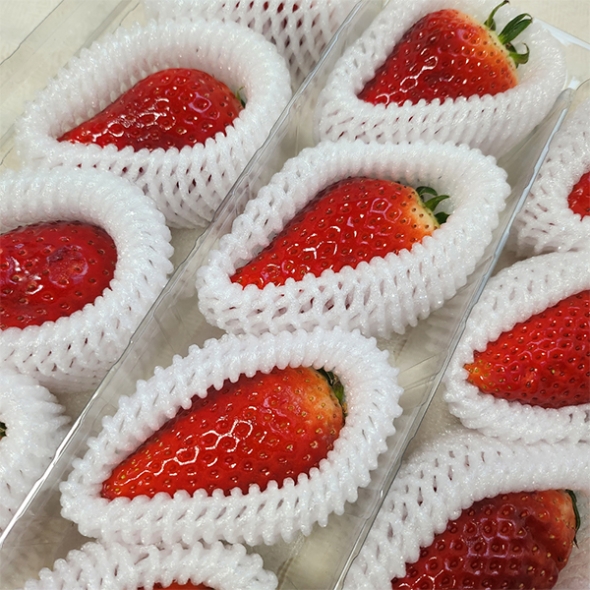 [보름데이] 프리미엄 킹스베리(푸)