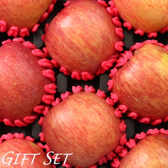 [2/3일부터 순차출고] [농협공판장] 정성드린 프리미엄 장수사과세트 5kg(특 19과내16과내/13과내)