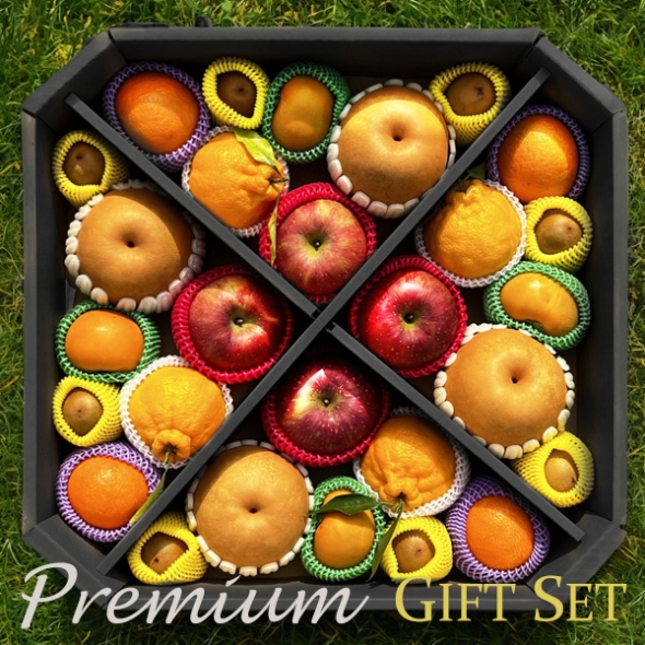 [1/19일부터 순차출고] [농협] 한아름드린 프리미엄 팔각혼합세트 7kg내외(사과/배/한라봉/천혜향/단감/키위)